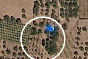 Terreno agricolo