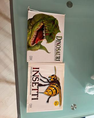 Lotto 2 Libri Illustrati: Dinosauri e Insetti