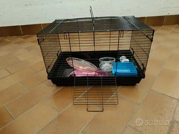 Gabbia per criceto