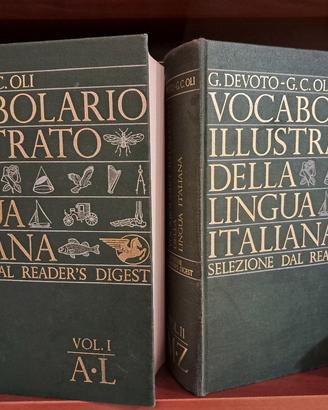 Vocabolario Illustrato della Lingua Italiana (2 v)