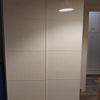 Arnadio come da foto