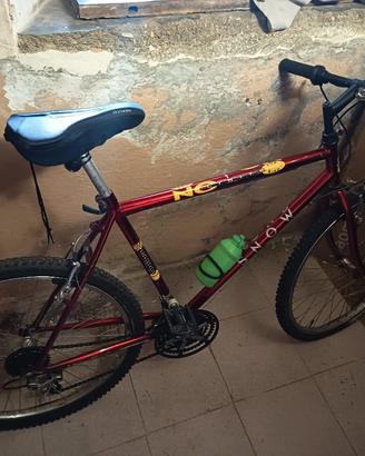 Bici Mountain bike