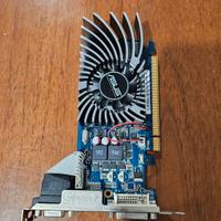 Scheda video Asus ENGT430/DI/ 1GD3(LP)