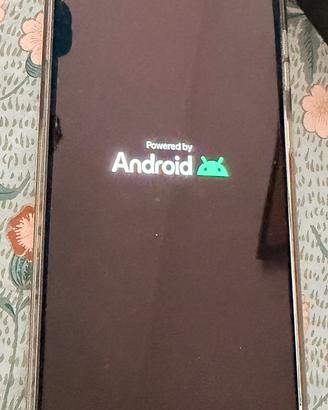 Samsung S25 Ultra 512 gigaB