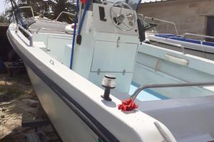 Barca tonnetto 5,40 con motore johnson 40cv 2 temp