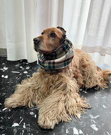 Snood per Cocker - Protezione orecchie regolabile