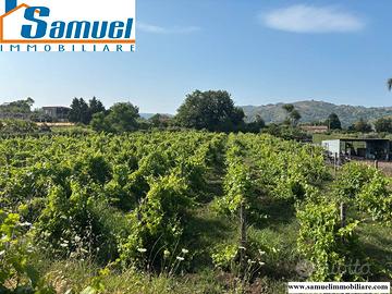 Piedimonte Etneo, terreno 2500 con fabbricato