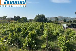 Piedimonte Etneo, terreno 2500 con fabbricato