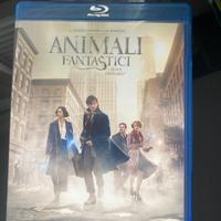Bluray animali fantastici shining notte giudizio