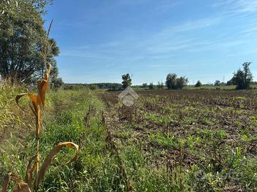 TER. AGRICOLO A CORBETTA