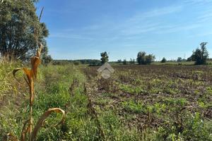 TER. AGRICOLO A CORBETTA