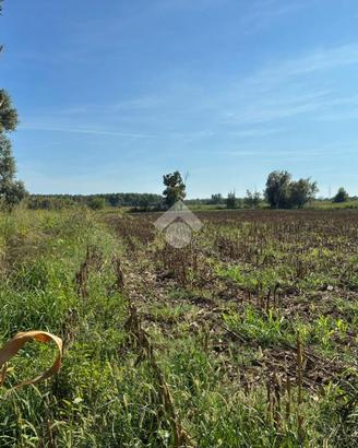 TER. AGRICOLO A CORBETTA