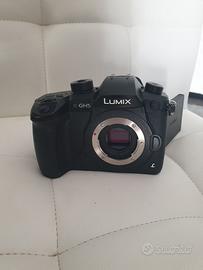 Panasonic Lumix GH5 + Ob Lumix G 25mm f/1.7 Asph