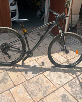 Mtb 29