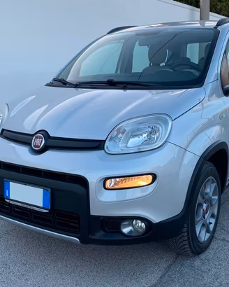 Fiat Panda 1.3 MJT S&S 4x4 Antartica