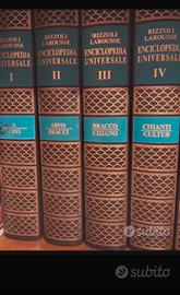 Enciclopedia Rizzoli Larousse 15 volumi piu uno