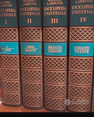 Enciclopedia Rizzoli Larousse 15 volumi piu uno