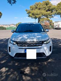  Discovery  diesel/ibrida mhv 7 posti da vetrina 