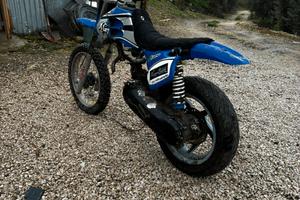Aprilia sp