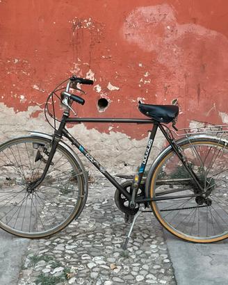 Bicicletta vintage Uomo