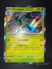 Floragato baby shiny SVP 77
