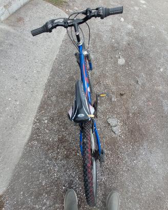 Mountain bike Driver da bambino 