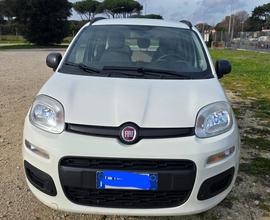 FIAT Panda 3ª serie - 2012 GPL