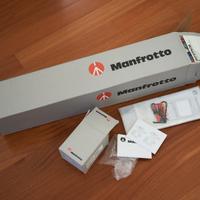 Manfrotto 190xPROB + testa 494RC2