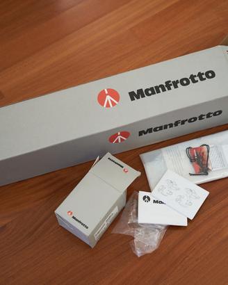 Manfrotto 190xPROB + testa 494RC2