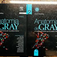 Anatomia del Gray, 40 edizione 