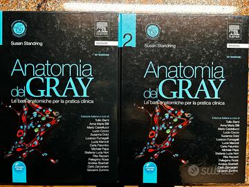 Anatomia del Gray, 40 edizione 