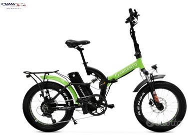 Fat-bike Argento Bi-Max S 250w nero/verde