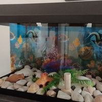 Acquario con 2 pesci 50x30x35