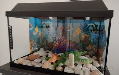 Acquario con 2 pesci 50x30x35