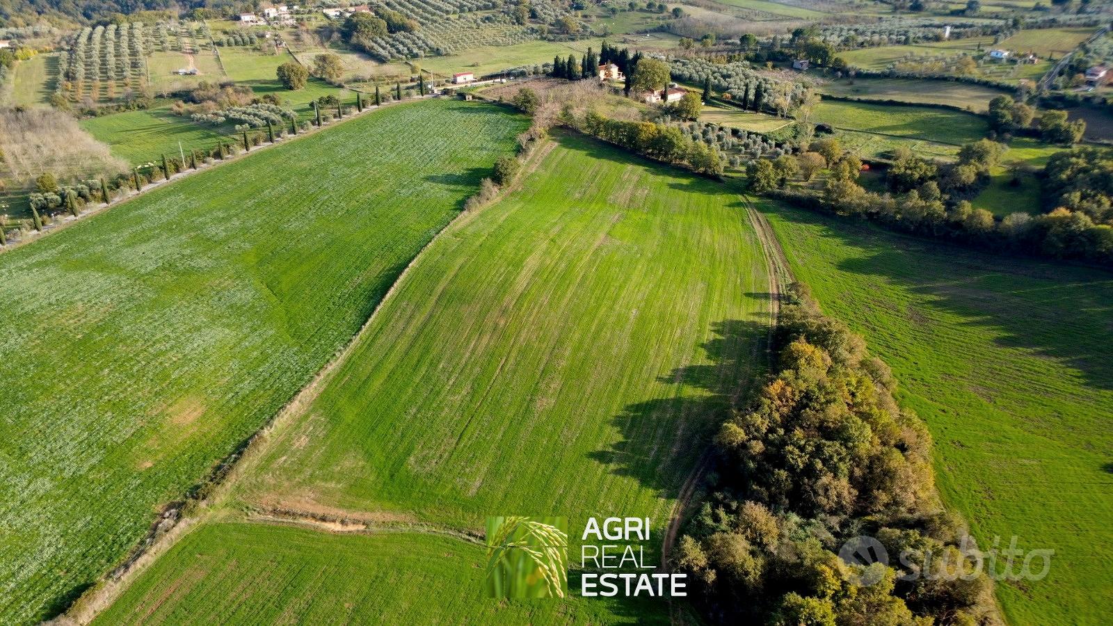Terreno agricolo 18 ettari con fabbricato diruto - Vista 4