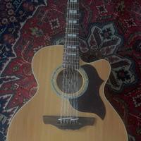 TAKAMINE EG523SC 12 CORDE