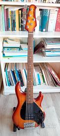 Basso Sterling by Music Man StingRay Ray35 5 corde