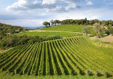 Terreno a Caldiero (VR)