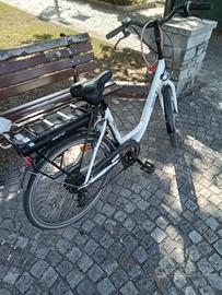 bici pedalata assistita