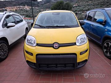 Fiat Panda 1.0 FireFly S&S Hybrid Pandina