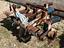 Immagine 6