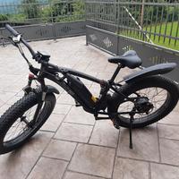 bici elettrica 1000wat