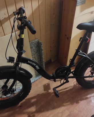bicicletta pieghevole ruote larghe 