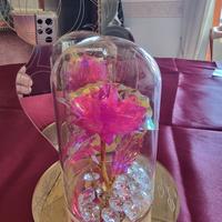 oggettistica per la casa 