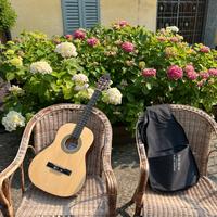 Chitarra acustica Arrow ST369 con custodia