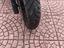 Immagine 4