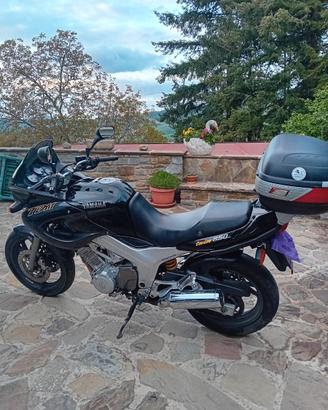 YAMAHA TDM 850