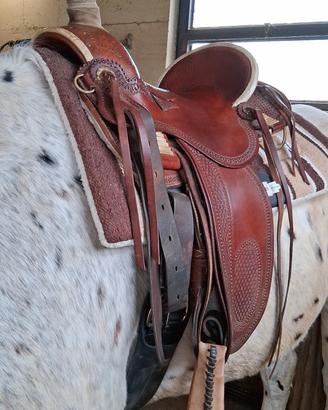 sella da ranch