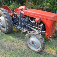 Trattore agricolo Massey Ferguson TEF 20 targato
