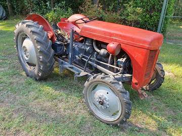 Trattore agricolo Massey Ferguson TEF 20 targato